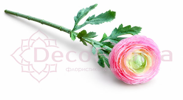 Ранункулюс 50см розовый
